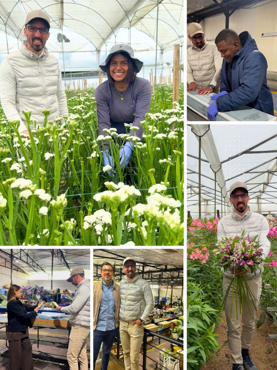 Collage of visit to Plazoleta by EC Flowers Collage of visit to Plazoleta by EC Flowers