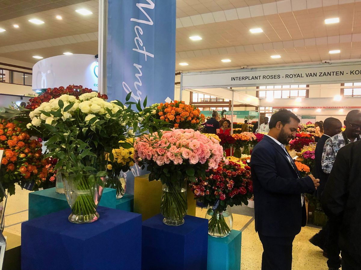 De Ruiter at the 2025 IFTEX The 2025 IFTEX Showcased Record-Breaking International Floriculture Success