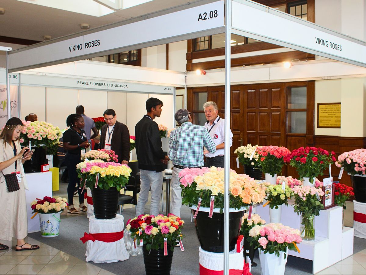 Viking Roses The 2025 IFTEX Showcased Record-Breaking International Floriculture Success