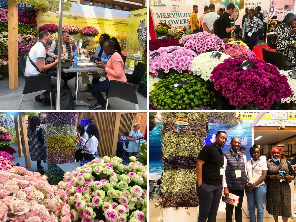 The 2025 IFTEX Showcased Record-Breaking International Floriculture Success
