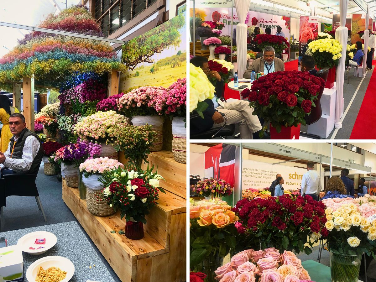 2025 IFTEX Showcased Record-Breaking International Floriculture Success