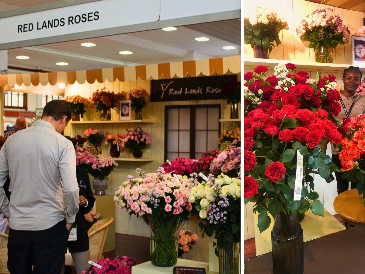 IFTEX 2025 2025 IFTEX Showcased Record-Breaking International Floriculture Success
