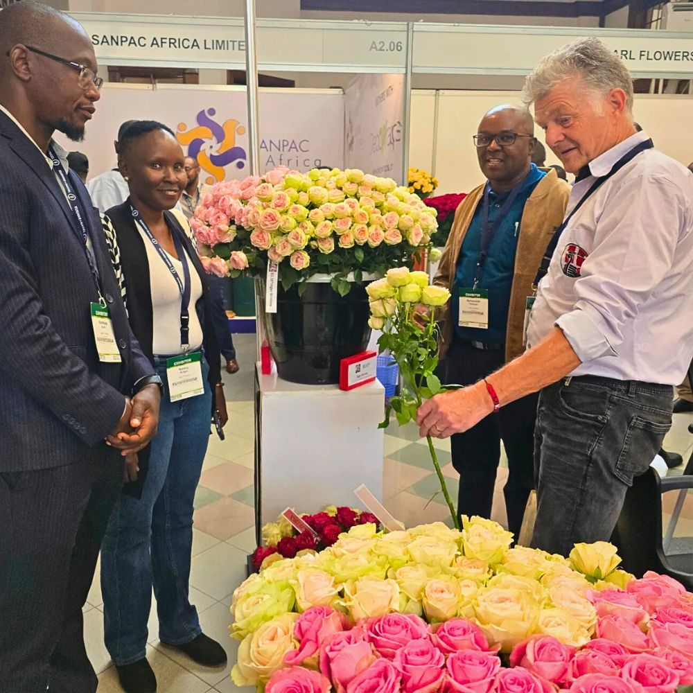 Viking Roses 2025 IFTEX Showcased Record-Breaking International Floriculture Success