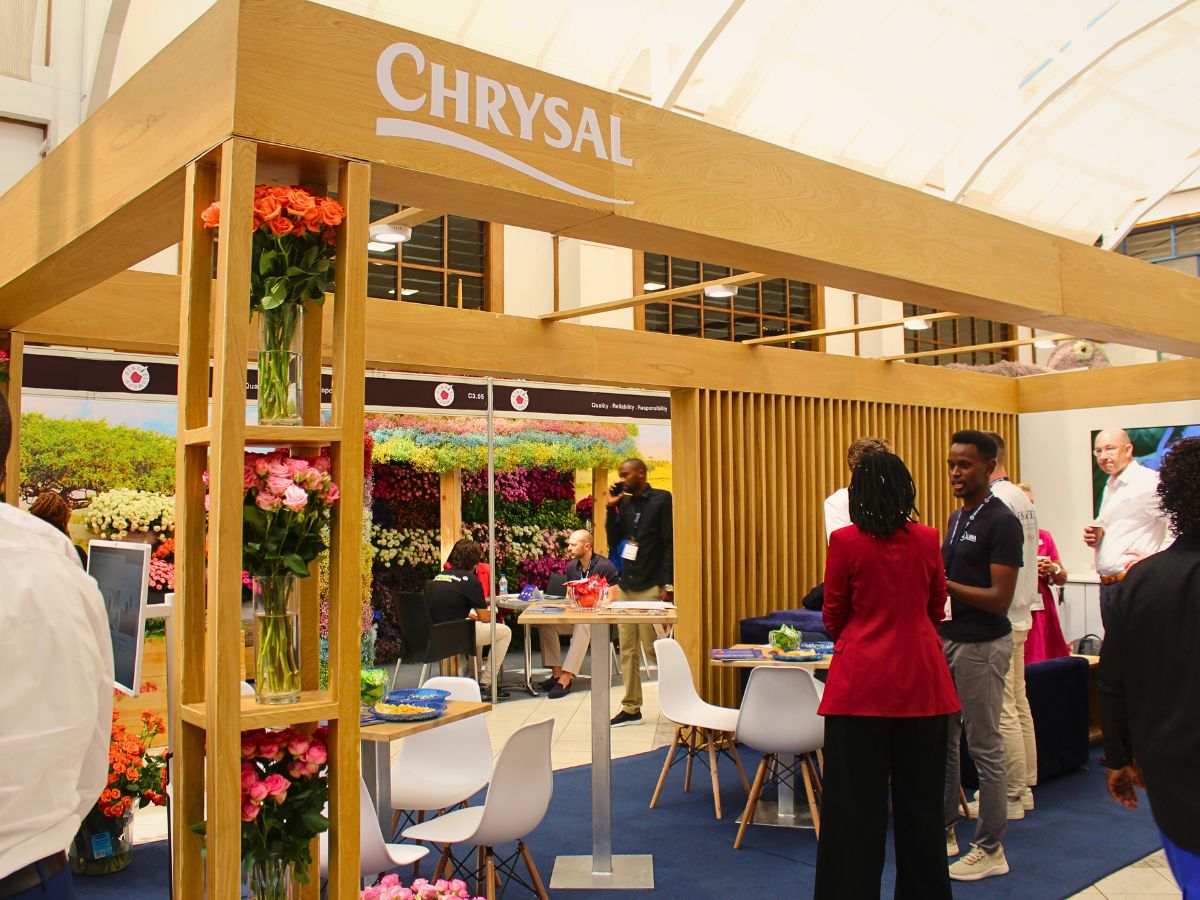 Chrysal The 2025 IFTEX Showcased Record-Breaking International Floriculture Success