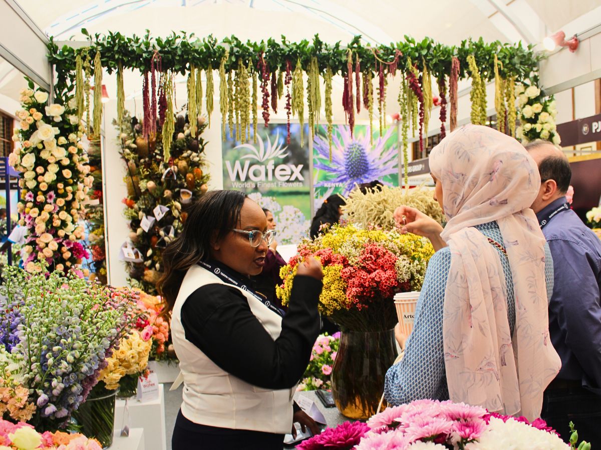 Wafex Kenya 2025 IFTEX Showcased Record-Breaking International Floriculture Success