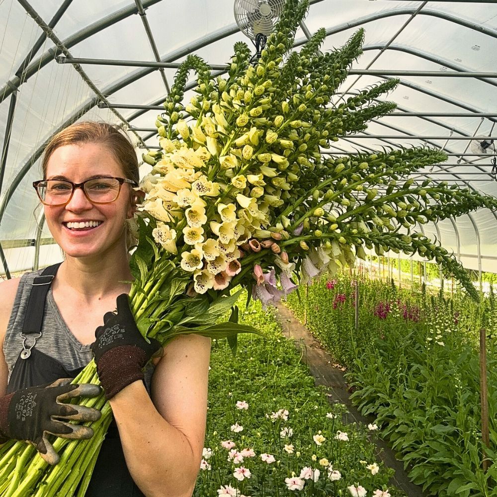 Flower farming Zero-Waste Floriculture and Its Benefits in a Sustainable Flower Industry