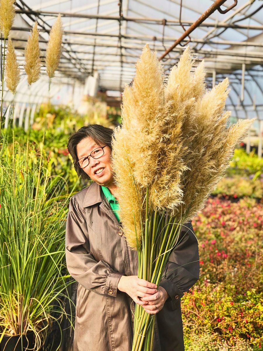 Pampas grass Zero-Waste Floriculture and Its Benefits in a Sustainable Flower Industry