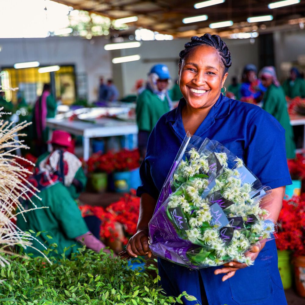 Clematis flowers Zero-Waste Floriculture and Its Benefits in a Sustainable Flower Industry