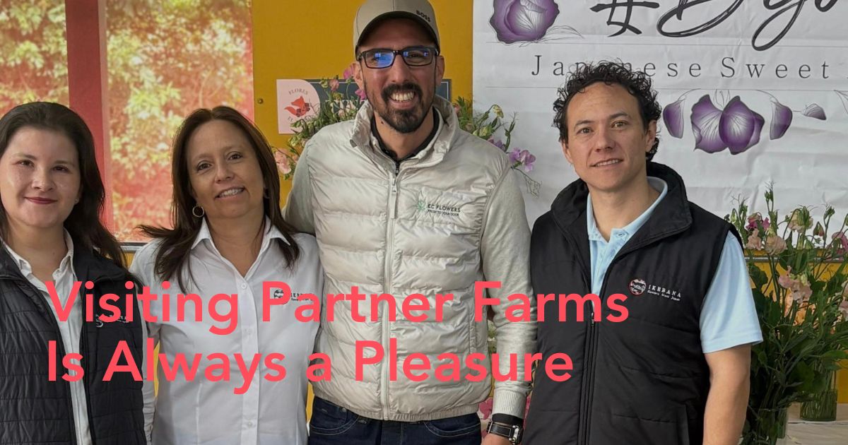 Ralph Baquero of EC flowers