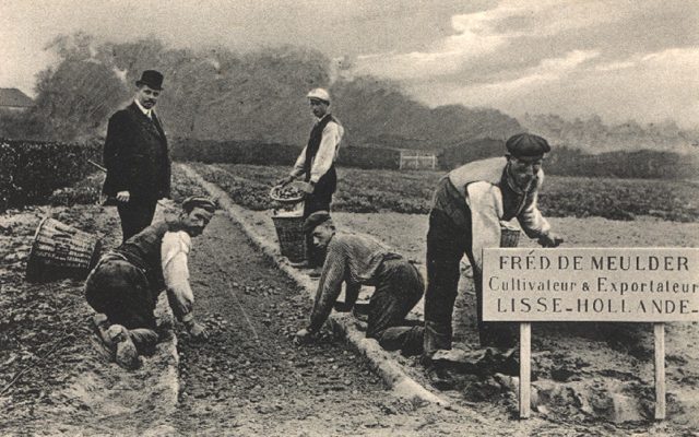  Fred de Meulder 
