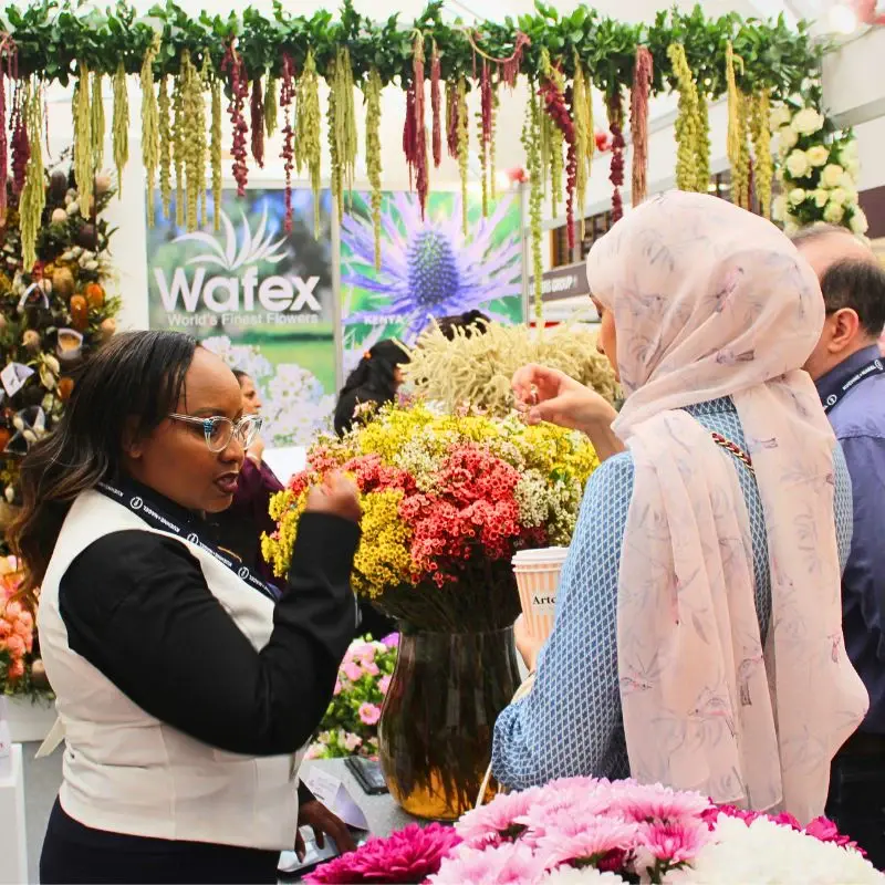 The 2025 IFTEX Showcased Record-Breaking International Floriculture Success
