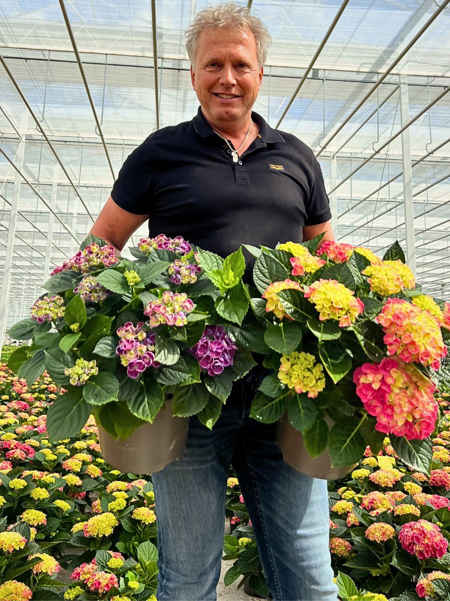 Hydrangea Zero-Waste Floriculture and Its Benefits in a Sustainable Flower Industry