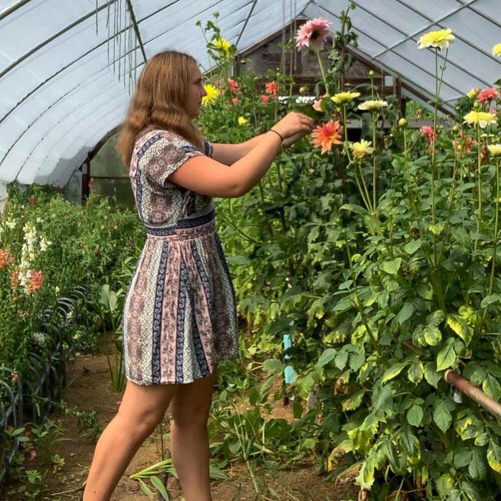 lady doing flowering work at farm lady doing flowering work at farm