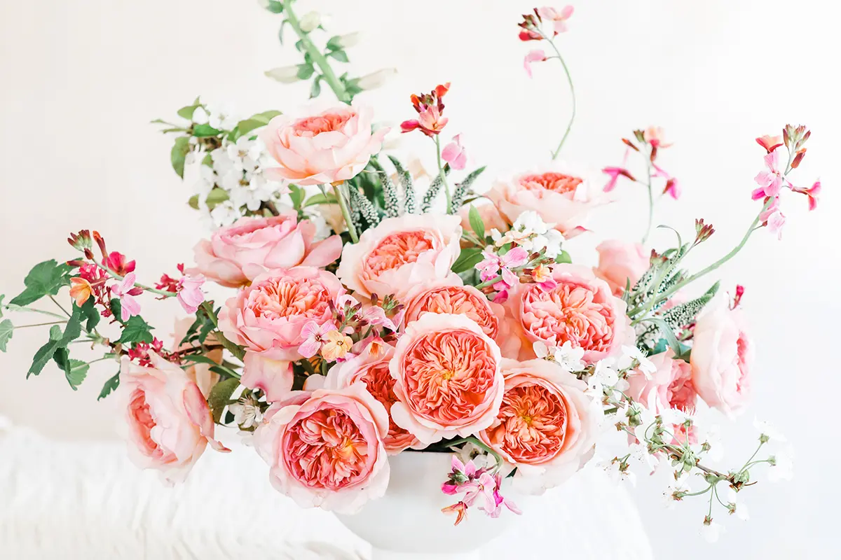 David Austin Introduces Two Exquisite New Wedding Roses