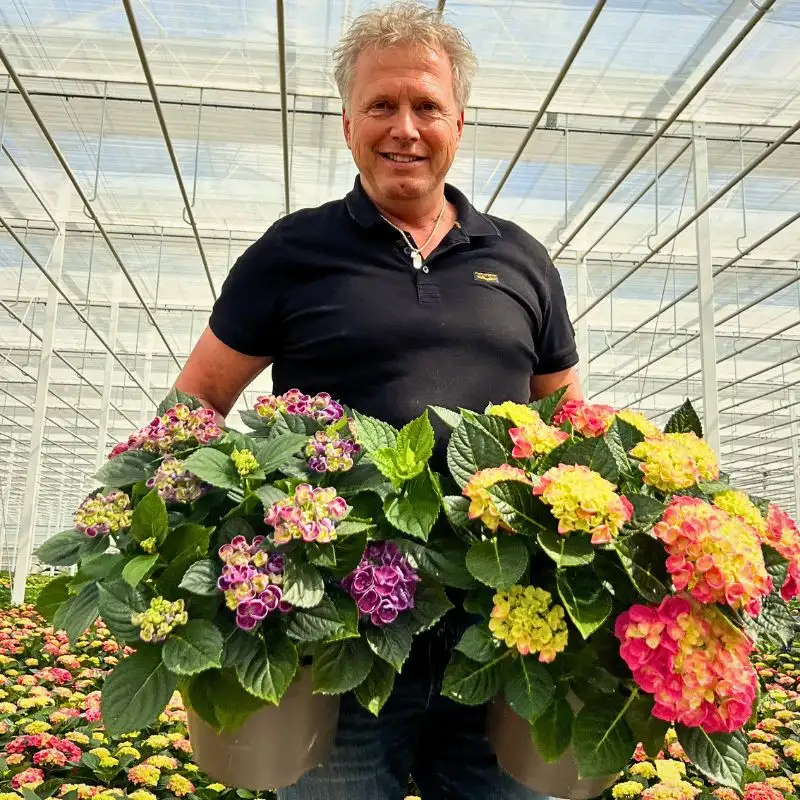 Zero-Waste Floriculture for Sustainable Flower Production