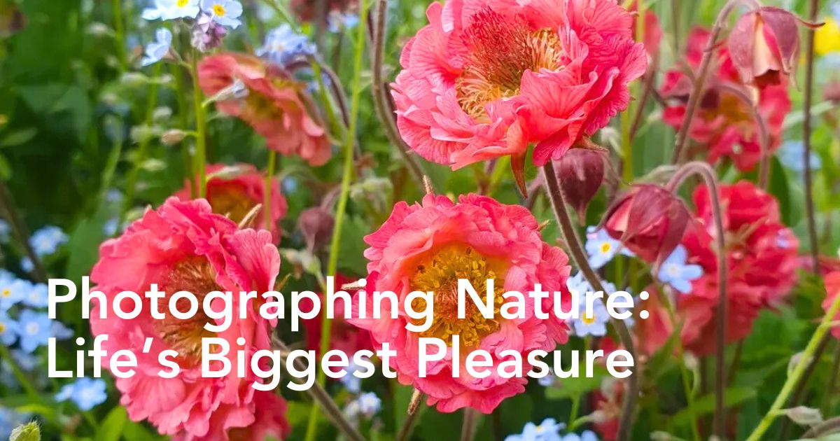 Nature Photography Day