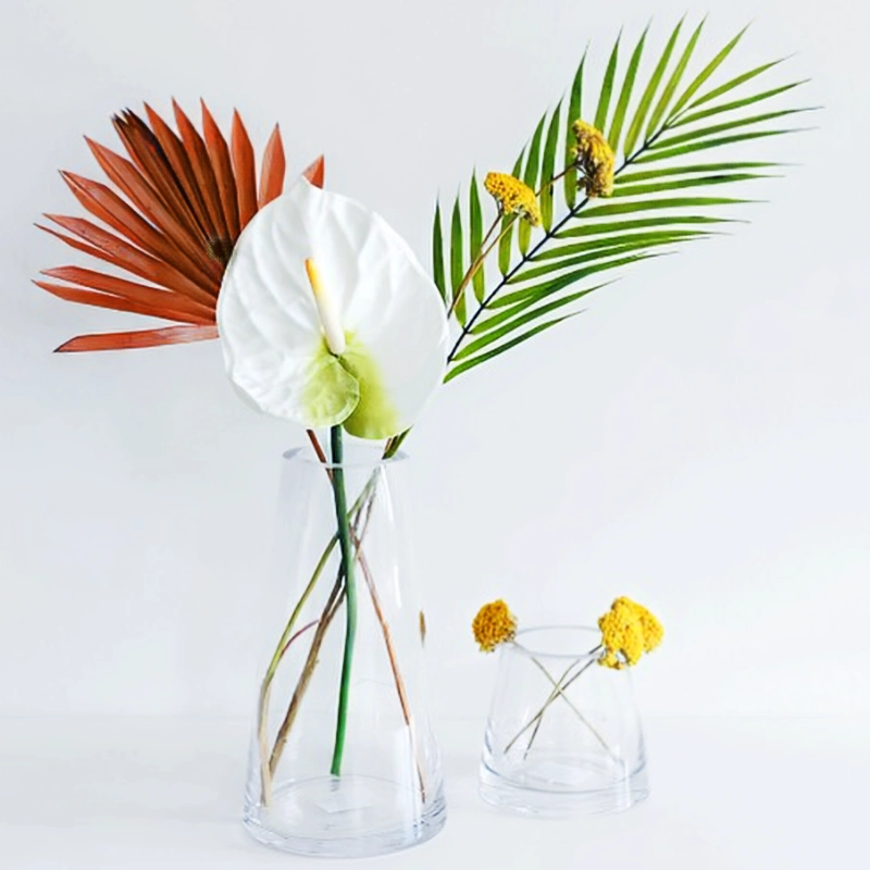 Cat Palm Cut Foliage