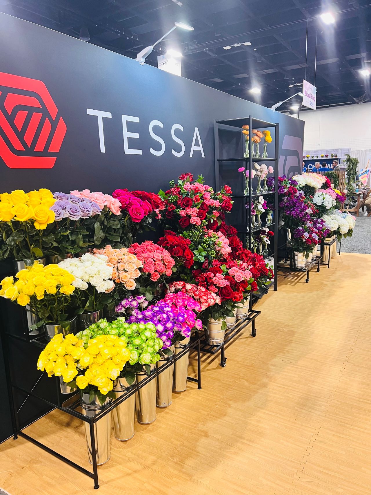 Tessa at Floriexpo Tessa at Floriexpo