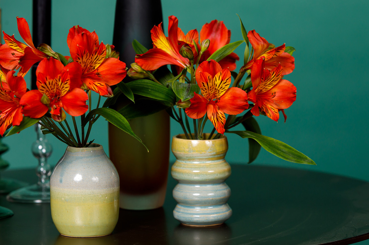 Tesselaar Alstroemeria orange alstroemeroa stems in vases
