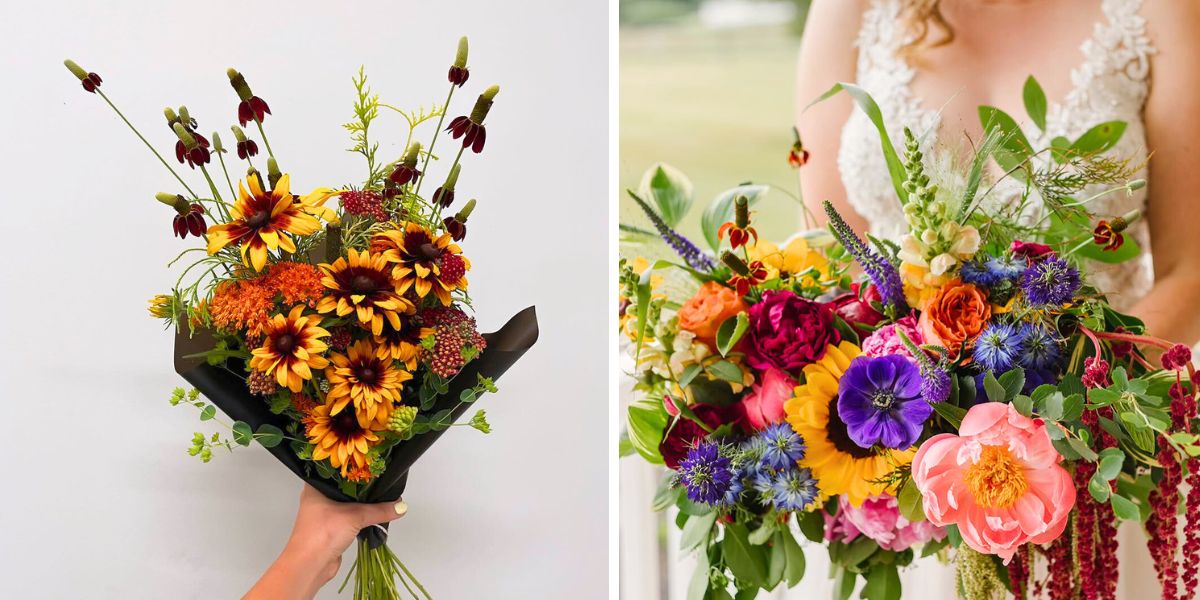 How Mexican hat flower can be used in bouquets How Mexican hat flower can be used in bouquets