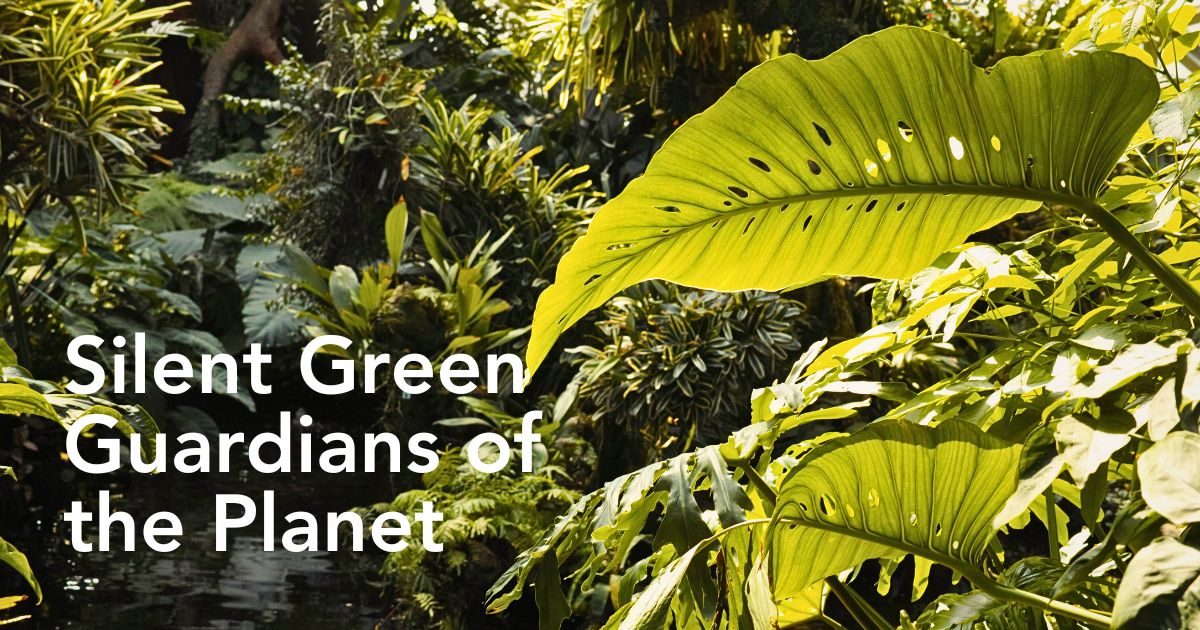 World Rainforest Day Is a Celebration of Our Green Guardians
