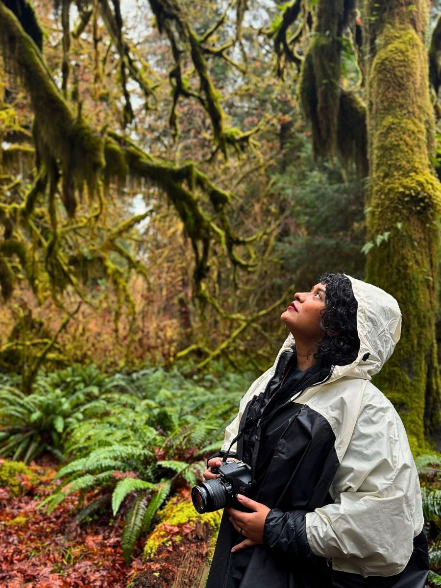 Rainforest World Rainforest Day Is a Celebration of Our Green Guardians