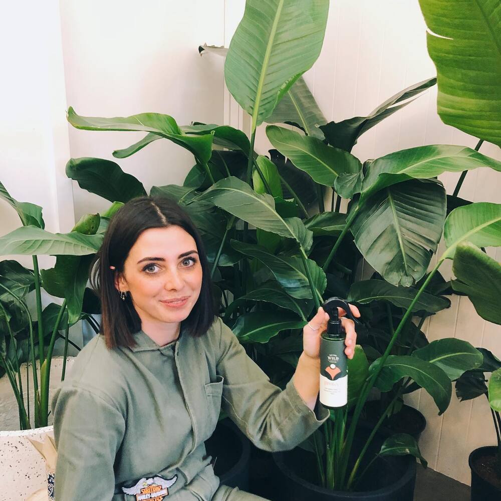 watering to seasonal plant by a lady watering to seasonal plant by a lady