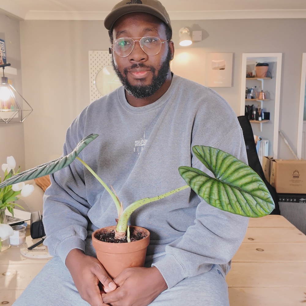 Men holding baby indoor plant Men holding baby indoor plant