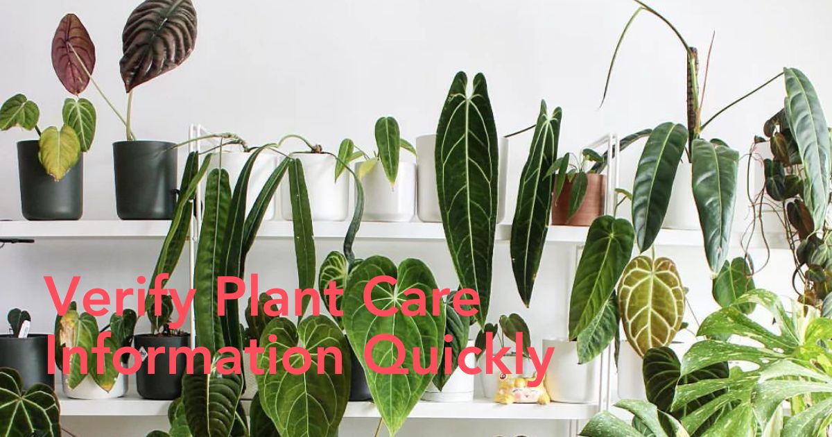 plant care guides