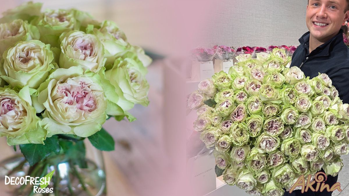 Rose Magique by DecoFresh Roses