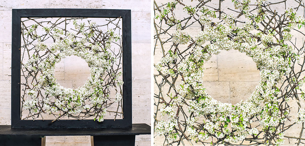 Joseph Massie white flowers in black frame Joseph Massie white flowers in black frame