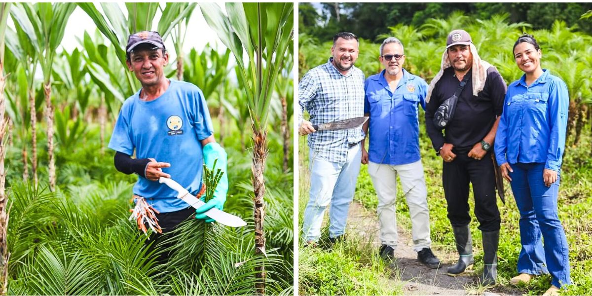 Part of the Tropical Green team in Costa Rica Part of the Tropical Green team in Costa Rica