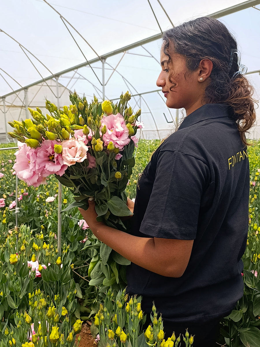 Fontana farm girl with pink Lisianthus Fontana farm girl with pink Lisianthus