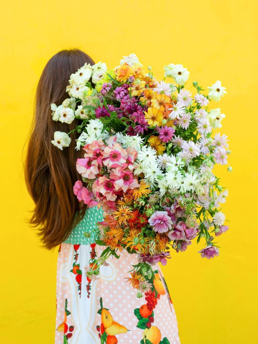 Amazing arrangement by Alexandra Scholtz Amazing arrangement by Alexandra Scholtz