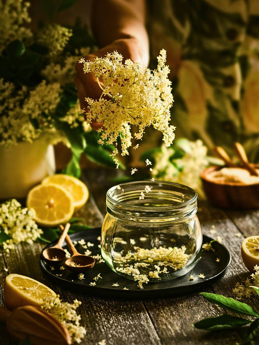 Herbs Which herbs are good for the skin?