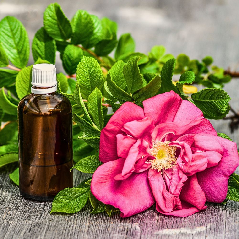 Essential oil essential oils extract from plants and flowers are also beneficial in skin care routines