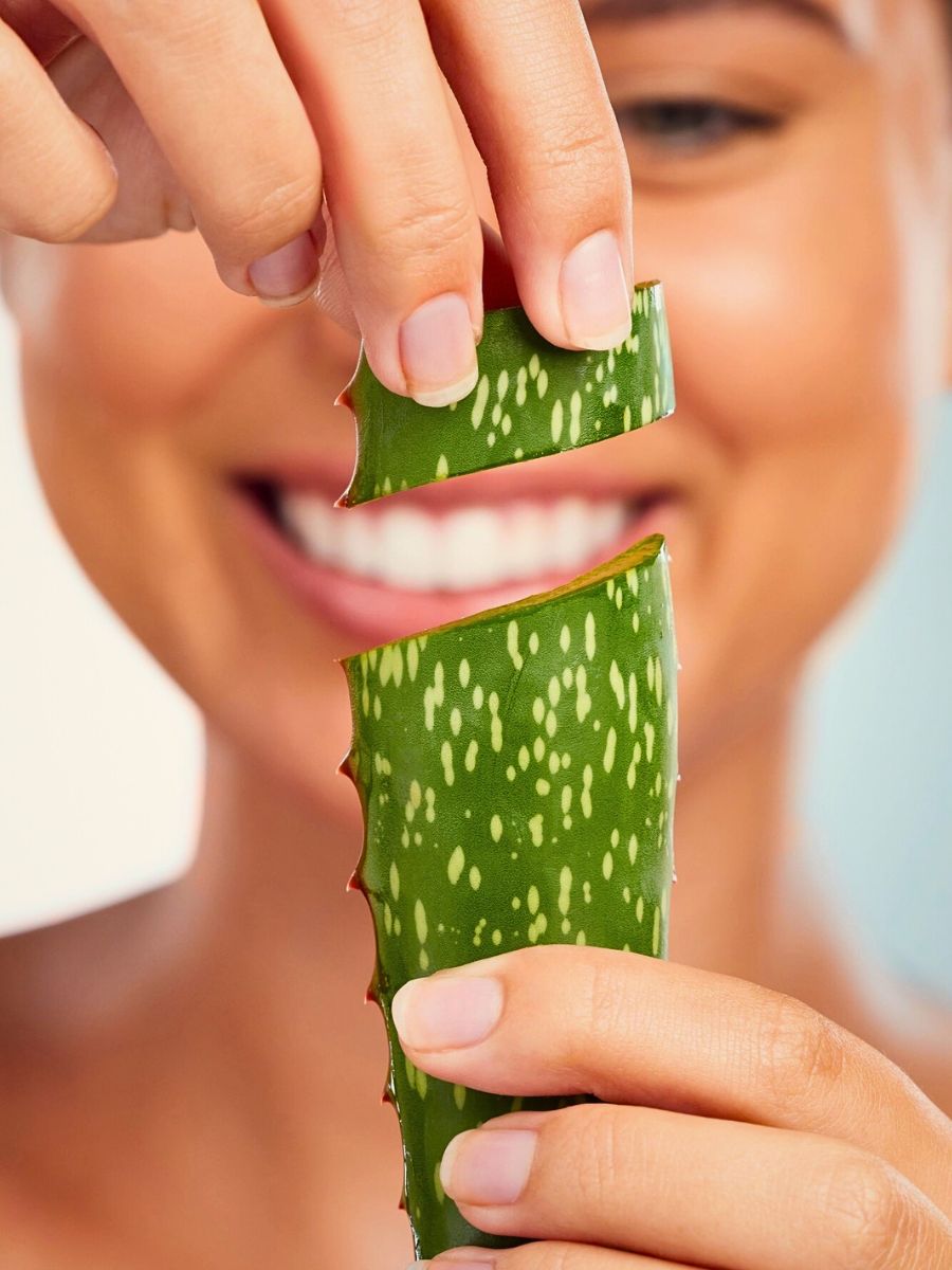 Aloe vera Fresh aloe vera gel from sliced plants, soothing irritated skin with anti-inflammatory, natural astringent benefits.
