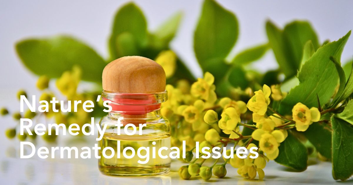 10 best herbs for skin care - Thursd Article header image