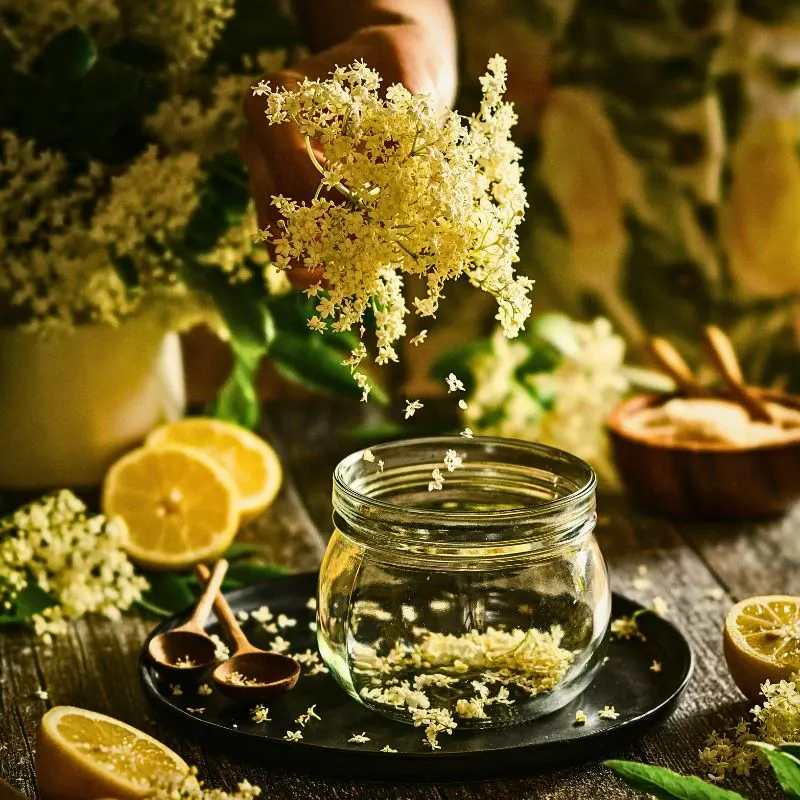 Herbs for skin care