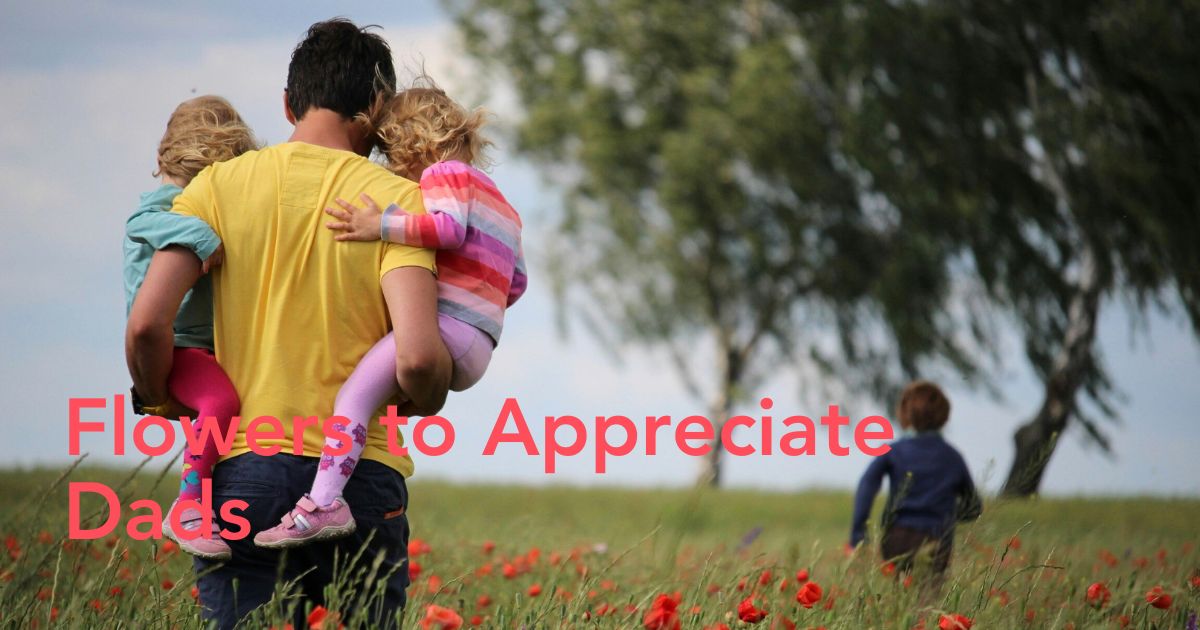 These are the Best Flowers to Present on Father's Day