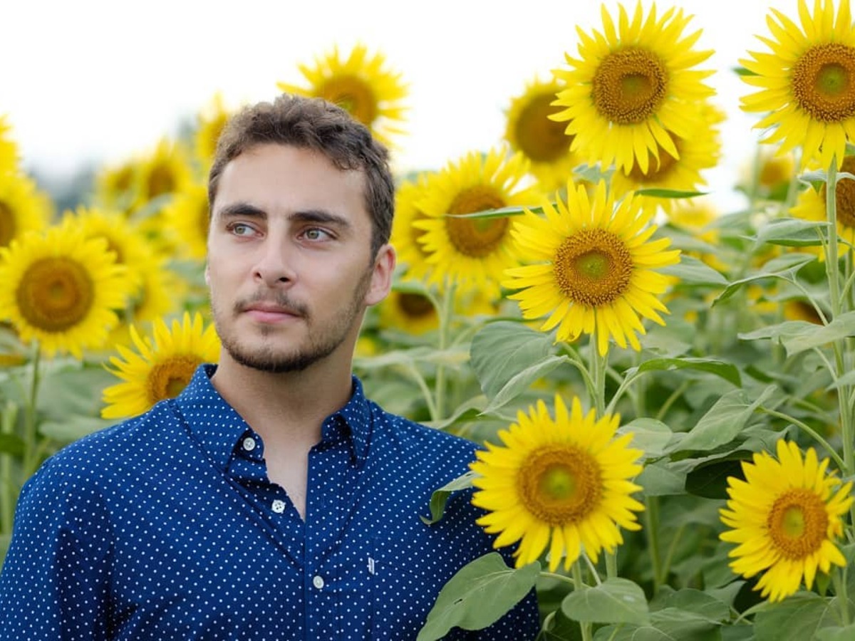 Sunflower for fathers Sunflower for fathers on father's day