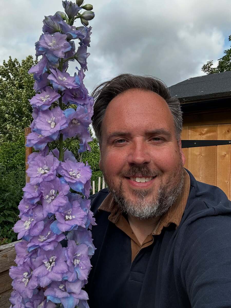 Men holding amazing delphiniums Men holding amazing delphiniums