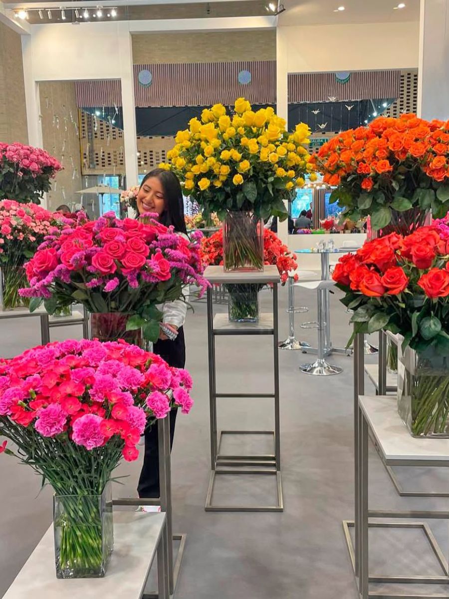 Amazing varieties competition Proflora Amazing varieties competition Proflora