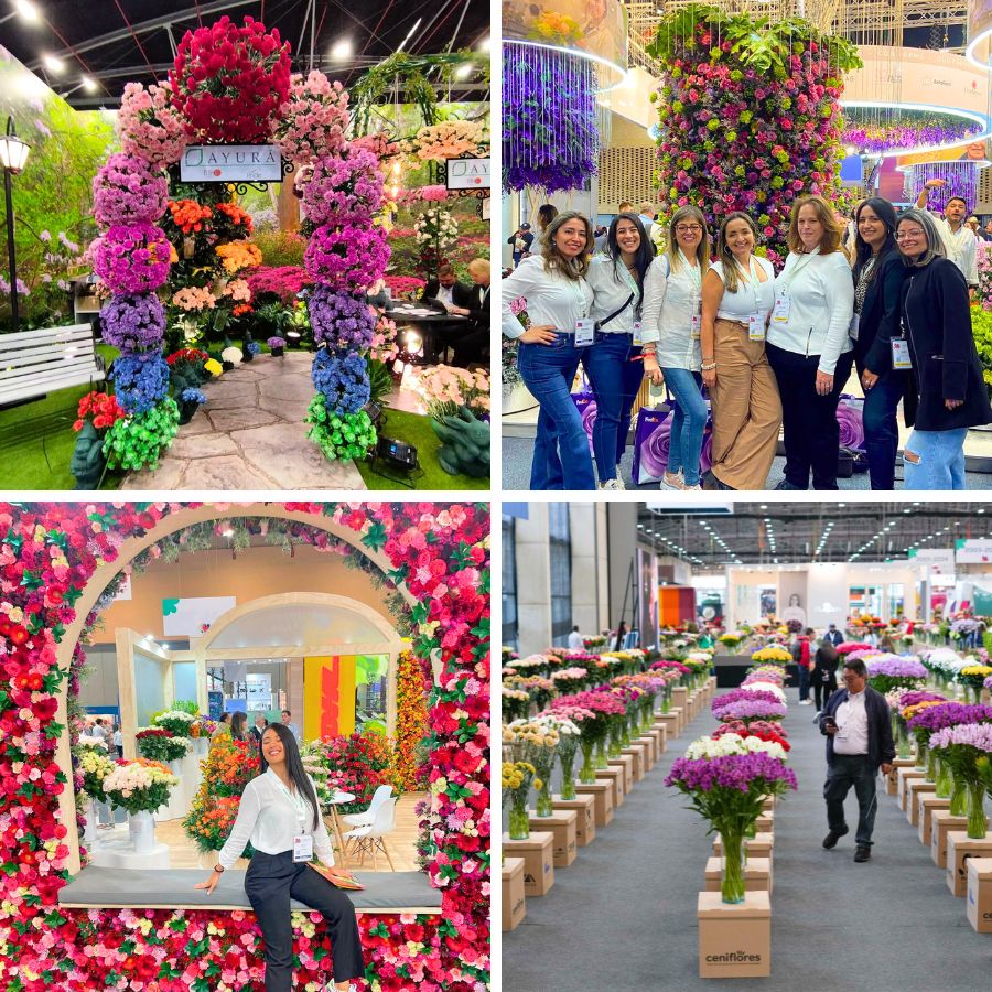 Discovering new flower varieties at Proflora Discovering new flower varieties at Proflora