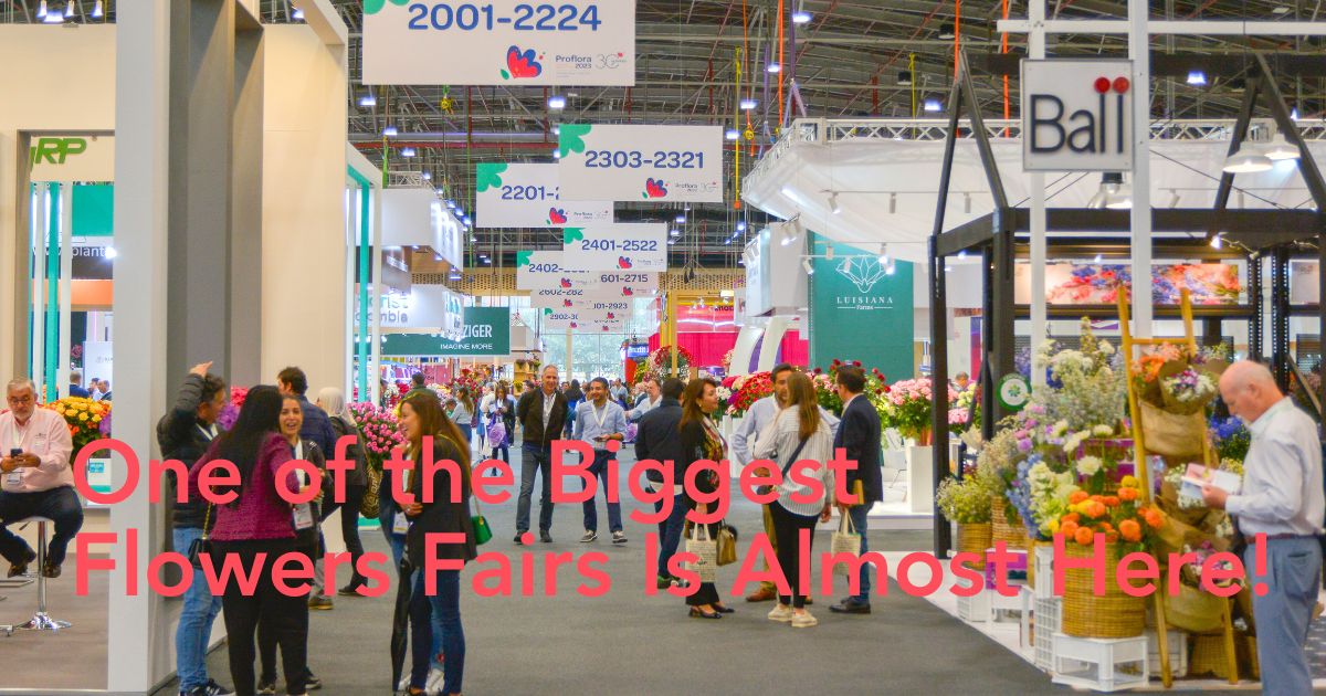 Proflora Colombia flower fair
