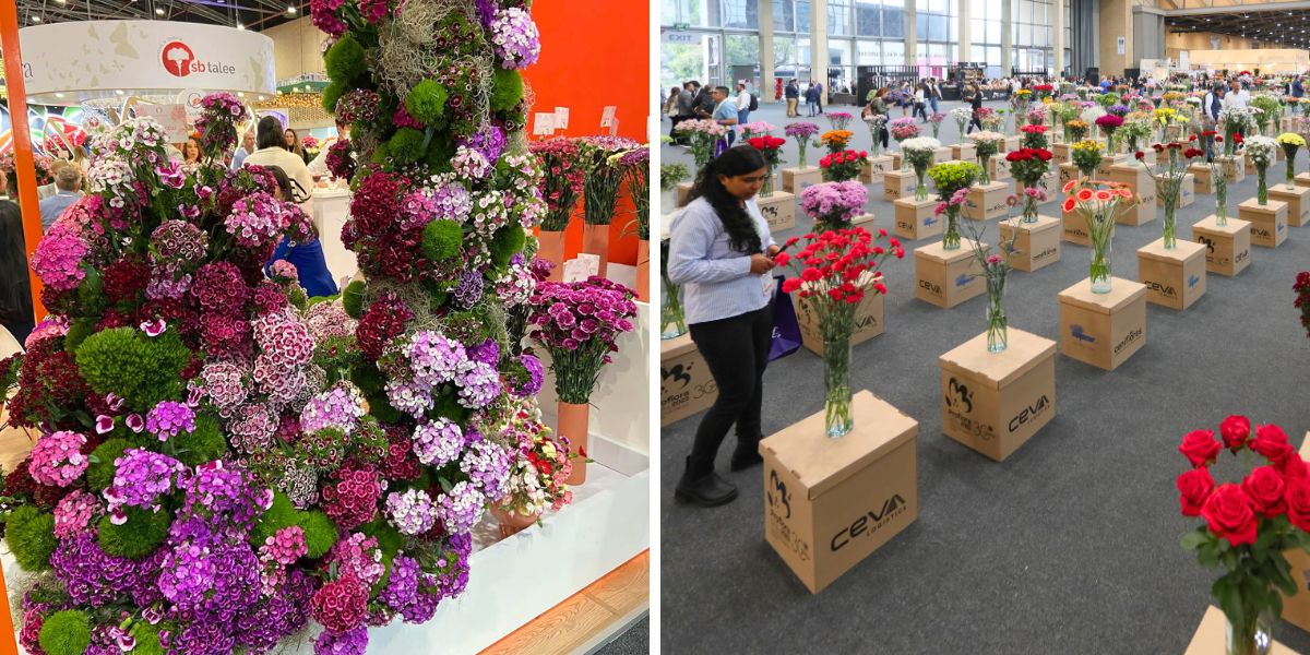 More and more varieties at Proflora