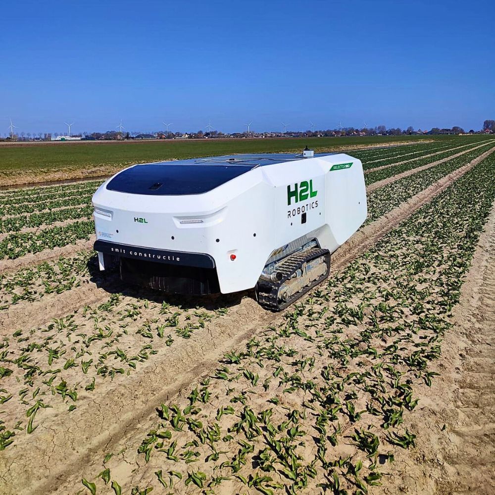 Robotic vehicle Where Does Tech Meet Sustainable Practices in the Floriculture Industry?
