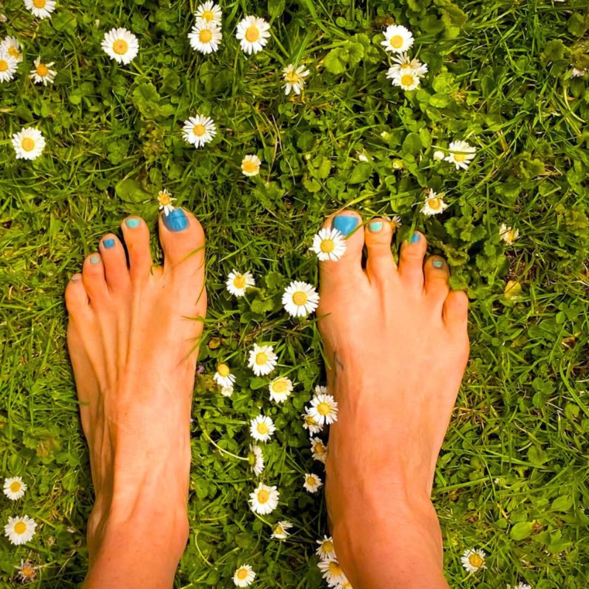 Grounding in the grass surrounded by flowers Grounding in the grass surrounded by flowers