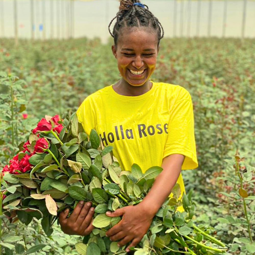 Smiling employee holding a bunch of roses at Holla Roses in Ethiopia Rose Red Tacazzi