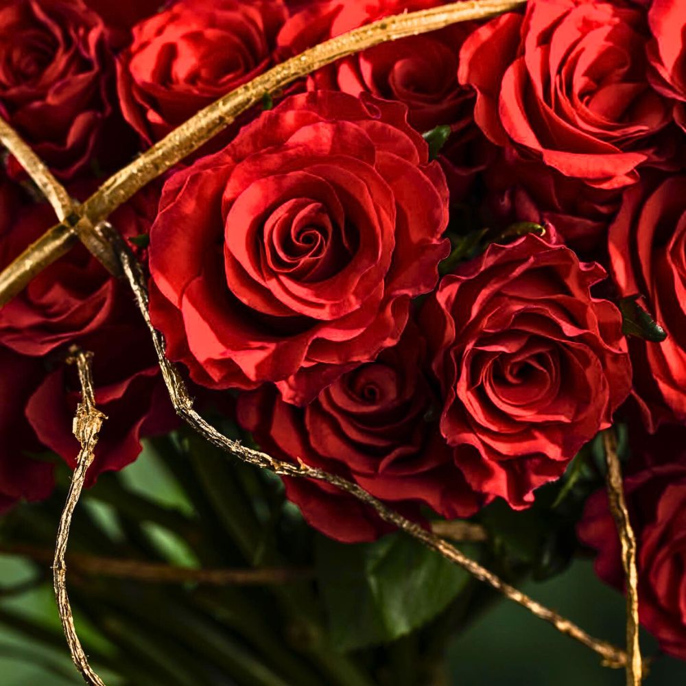 Rose Red Tacazzi from Ziway Roses Rose Red Tacazzi